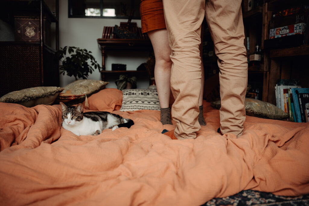 Chats curieux participant à une séance photo de couple à Toulouse